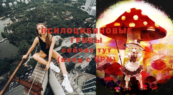 марихуана Богородицк