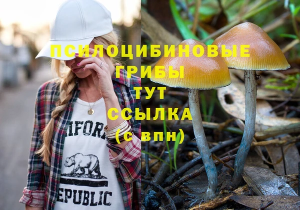 мяу мяу кристалл Богданович